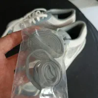 کفش|کیف، کفش، کمربند|قائم‌شهر, |دیوار