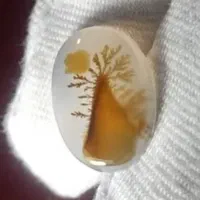 مرکز پخش انواع نگین های کمیاب و کلکسیونی|زیورآلات و اکسسوری|تهران, اختیاریه|دیوار