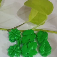 فروش کود و ملزومات گل و گیاهان آپارتمانی|گل و گیاه طبیعی|رفسنجان, |دیوار