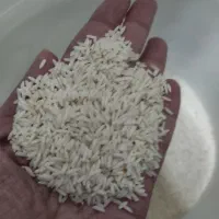 برنج هاشمی درجه یک آستانه اشرفیه