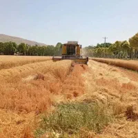 چاه-اجاره