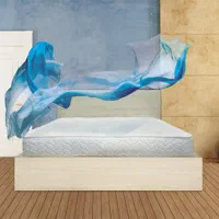 تشک‌ رویا ثنایی سنتر