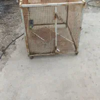 قفس اهنی کفتر .