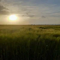 15-هکتار-زمین-کشاورزی-قیمت-مناسب