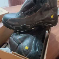 کفش ایمنی