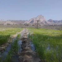 به یک نفر کارگر ساده جهت کار در باغ منطقه تو کهور