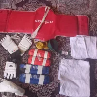 سایر