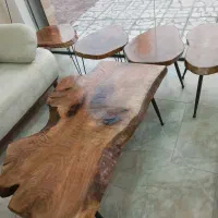 اسلب گردو