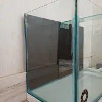 آکواریوم|ماهی|کرمانشاه, |دیوار