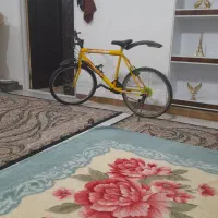 دوچرخه|دوچرخه، اسکیت، اسکوتر|ساروق, |دیوار