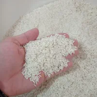 برنج اصیل ایرانی