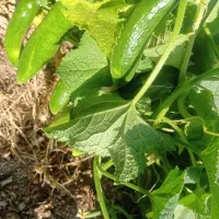 هیتر گرمایشی موشکی