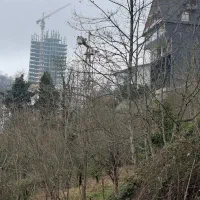 فروش زمین ۲۴۰۰ متری در اربه‌کله   موقع