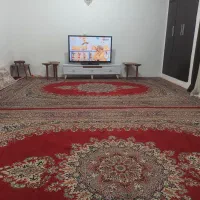 فروش فرش ۱۲ متری در بندر خمیر|فرش|خمیر, |دیوار