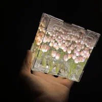 شب خواب دشت لاله