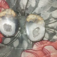 سنگ شجر|جواهرات|پرند, فاز ۴|دیوار