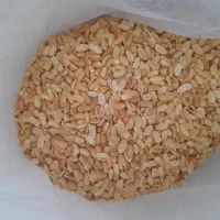 کره بادام زمینی درجه ۱ ایرانی|خوردنی و آشامیدنی|سنندج, |دیوار