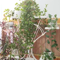 استند گلدان فلزی|صنایع دستی و سایر لوازم تزئینی|دره شهر, |دیوار