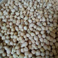 فروش نخود محلی|خوردنی و آشامیدنی|کامفیروز, |دیوار