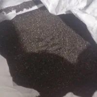 بذر سبزیجات بادرنج