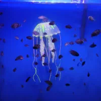 ماهی گوره خری زندانی