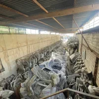 بدنه رنگ فابریک و کوره ای ماشین فروشگاه بدنه صادق|قطعات یدکی و لوازم جانبی|بندرعباس, |دیوار