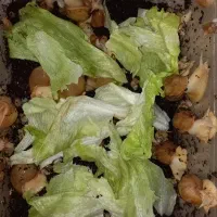 حلزون آچاتینا