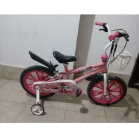 دوچرخه ۱۶ سالم