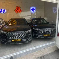 فونیکس تیگو 8 پرو، مدل ۱۴۰۲ خشک