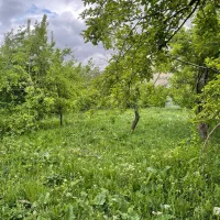 باغ اخلمد آب سند ملکی داخل مجموعه 325میلیون|فروش زمین و ملک کلنگی|چناران, |دیوار