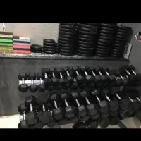 مربی بدنسازی و برنامه تمرینی