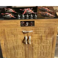 ۳۰ عددروپله ای نو