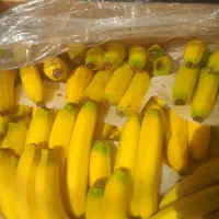 فقط فقط کیلویی ۷۰ تومان به شرط شیرینی