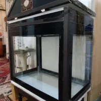 اکواریوم|ماهی|شیراز, پانصد دستگاه ارتش|دیوار