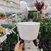 گلدان پایه دار سفید پلاستیکی پایه استند گلدان شفلر|گل و گیاه طبیعی|قم, ولیعصر|دیوار