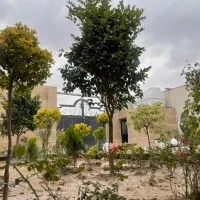 باغچه-فروشی-در-شهریار-لم-آباد