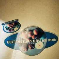 یخچال فریزر کاریز|یخچال و فریزر|چیتاب, |دیوار