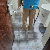 سم پاشی تخصصی انواع حشرات موذی و زنده گیری حیوانات|خدمات نظافت|بندر کنگان, |دیوار