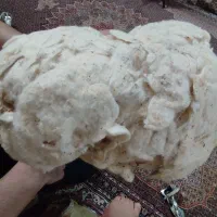پشم الیاف طبیعی