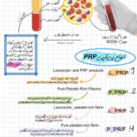 اموزش فیلر بوتاکس مزو پی ار پی هایفو|خدمات آموزشی|کرج, گوهردشت|دیوار