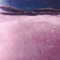 405فنی سالم|خودرو سواری و وانت|بم, |دیوار