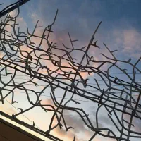 حفاظ شاخ گوزنی|مصالح و تجهیزات ساختمان|گنبد کاووس, |دیوار