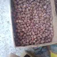 خرمای درجه یک|خوردنی و آشامیدنی|اهواز, پردیس|دیوار