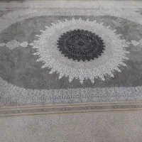 فرش ۱۲۰۰شانه|فرش|گنبد کاووس, |دیوار