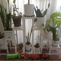 چهار پایه گل