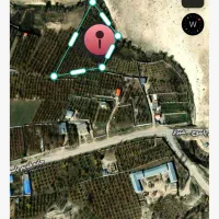 فروش ۲ هزار متر باغ زیر قیمت یا معاوضه با ماشین