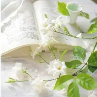 پکیج آموزش آفلاین زبان انگلیسی متوسطه دوم