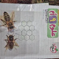 کتاب تیزهوشان نهم|کتاب و مجله آموزشی|تهران, تهرانپارس غربی|دیوار