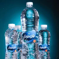 راننده ویزیتور نیسان