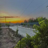 باغچه ۵۰۰متر نزدیک هشتگرد همراه باسوئیت چوبی|فروش زمین و ملک کلنگی|هشتگرد, شهرک پامچال|دیوار